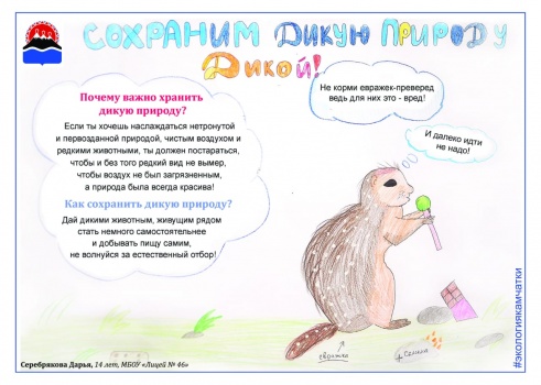 «Экология Камчатки» объявляет конкурс «Сохраним дикую природу ДИКОЙ»! 0