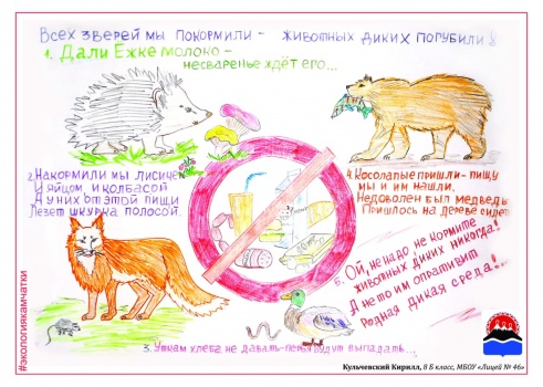 «Экология Камчатки» объявляет конкурс «Сохраним дикую природу ДИКОЙ»! 3