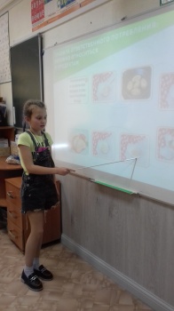 Всероссийский урок «Эколята – молодые защитники природы»  прошёл среди обучающихся 3-его класса. 8