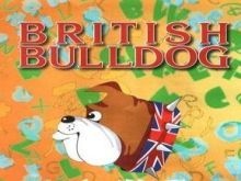 Международный конкурс-игра по английскому языку "British Bulldog"